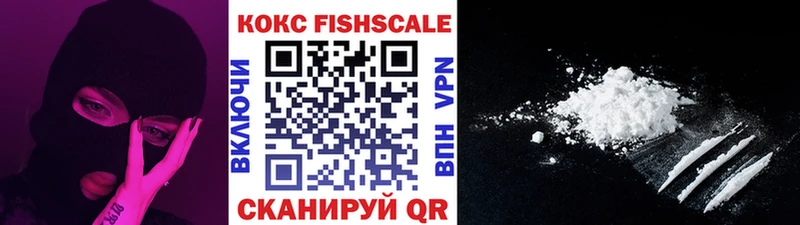 Купить  Губкин  Cocaine FishScale 