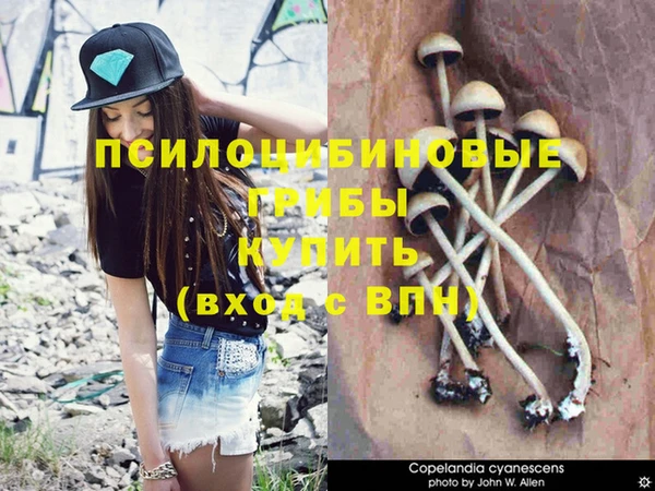 MDMA Кинешма