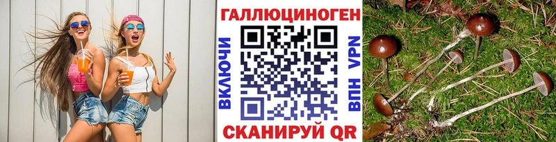 Купить  Губкин  Псилоцибиновые грибы GOLDEN TEACHER 