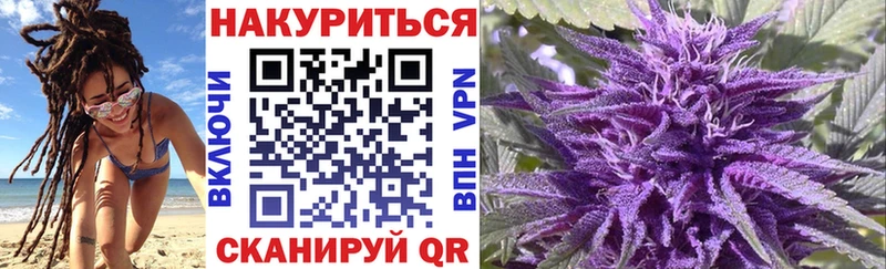 Купить  Губкин  Канабис White Widow 
